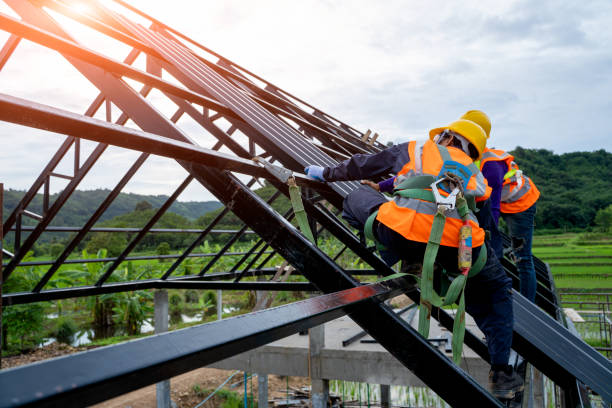 Best Flat Roof Repair Services  in Grayson, KY