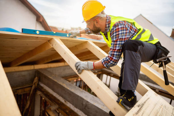 Roof Gutter Cleaning in Grayson, KY